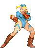 cammy-win1.gif