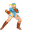 cammy-win4.gif