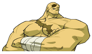 sagat.gif